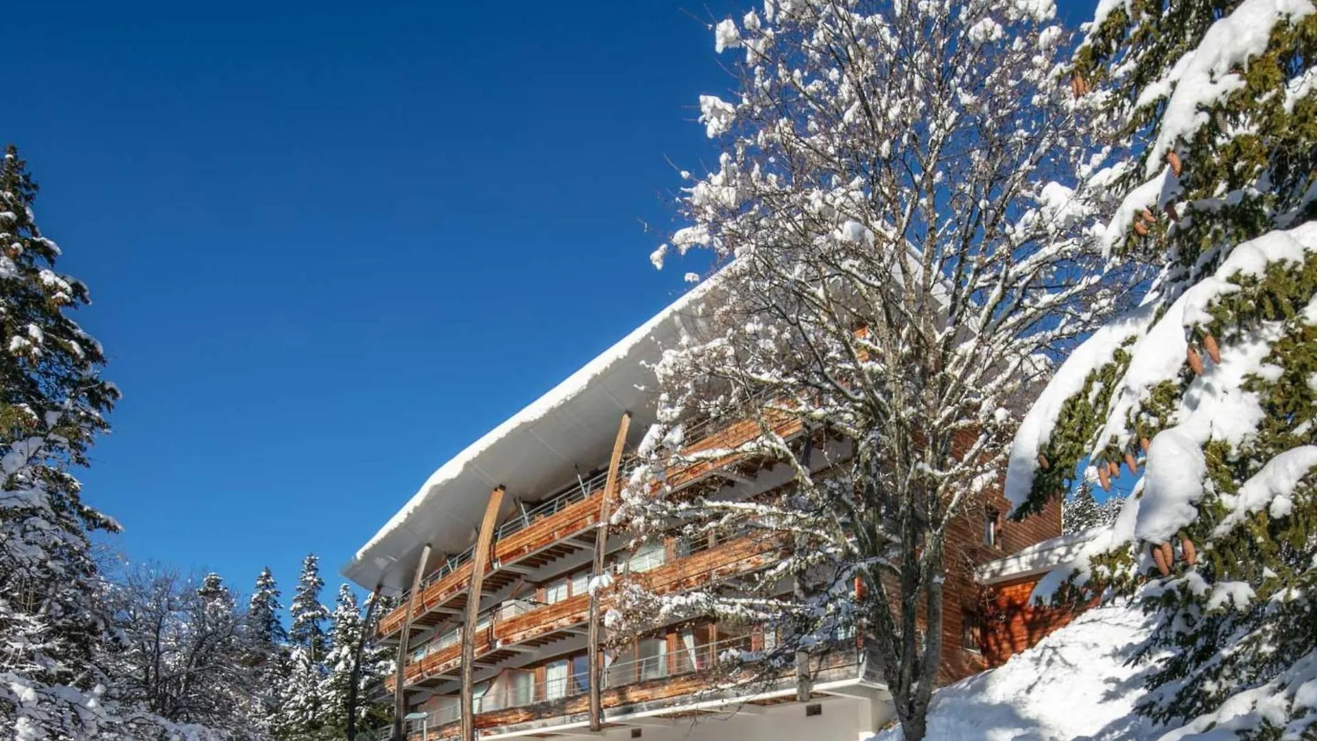 Apartment Studio V Du Bachat Droseras A By Interhome Chamrousse